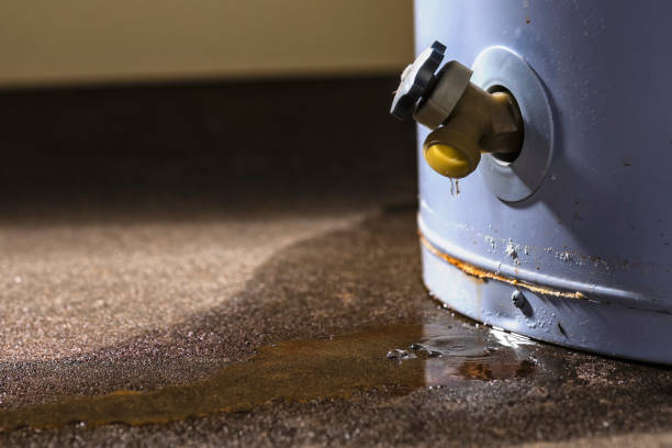 Best Fire Damage Restoration  in Morrisonville, NY