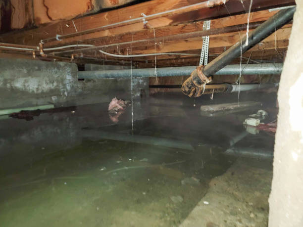 Best Flood restoration services  in Morrisonville, NY