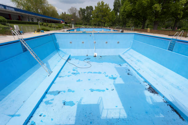 Best Basement water damage restoration  in Morrisonville, NY