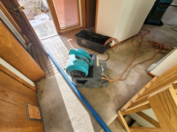 Best Basement water damage restoration  in Morrisonville, NY