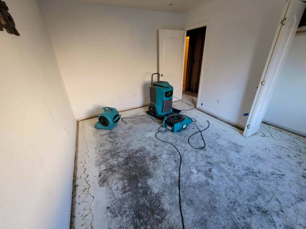 Trusted NY Water damage restoration Experts