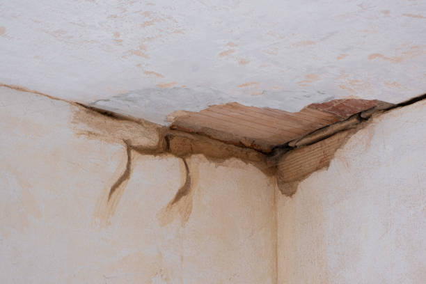 Best Water damage contractors near me  in Morrisonville, NY