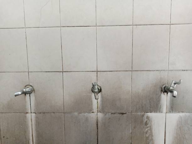 Best Flooded house restoration  in Morrisonville, NY