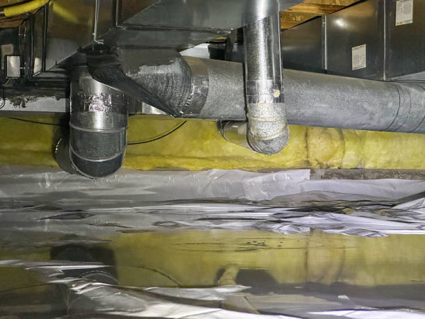 Best Flood damage cleanup  in Morrisonville, NY