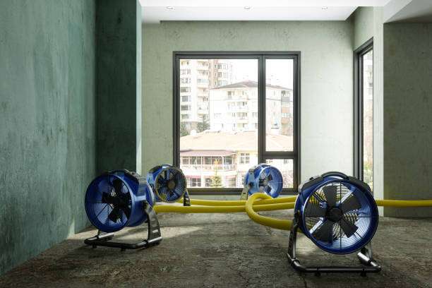Best Residential water damage restoration  in Morrisonville, NY